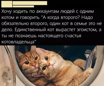 Смешная картинка №743673