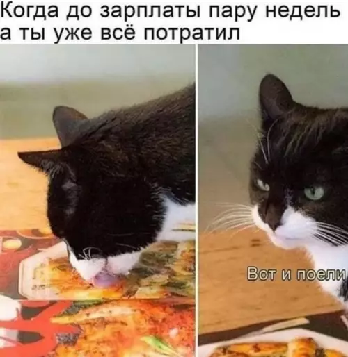 Смешная картинка №555378