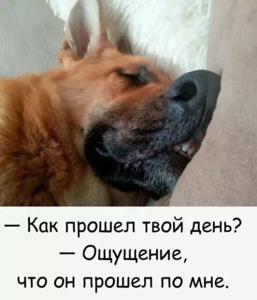 Смешная картинка №459663 Это я - каждый день