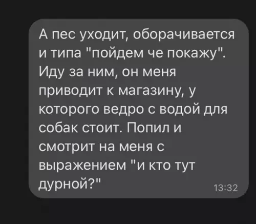продолжение Смешная картинка №583629