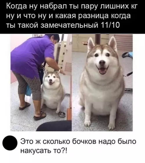 Смешная картинка №493024 Всё равно прекрасен!