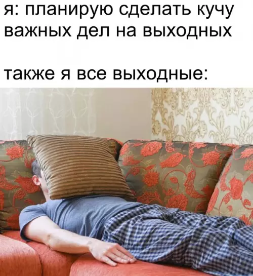 План на выходные vs Реальность 😴 - я: планирую сделать кучу важных дел на выходных также я