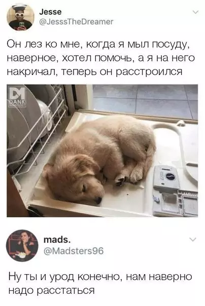Смешная картинка №256358
