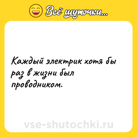 Шутка: Каждый электрик хотя бы раз в жизни был проводником.