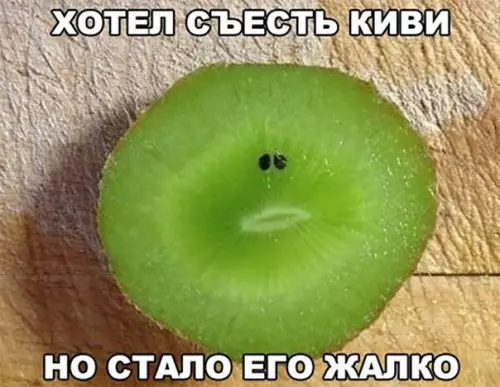Смешная картинка №239289