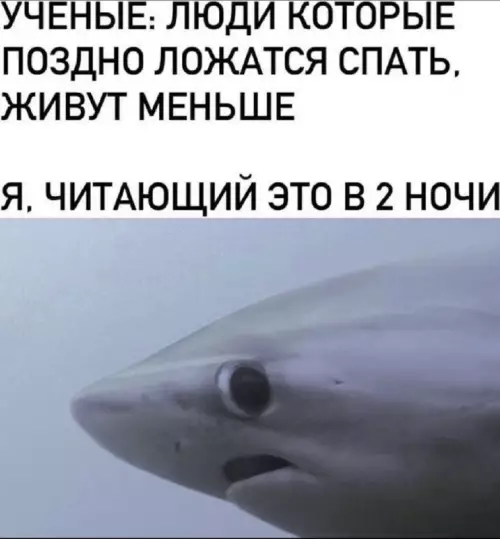 Ученые против режима сна 🦈😂 - УЧЕНЫЕ: ЛЮДИ КОТОРЫЕ ПОЗДНО ЛОЖАТСЯ СПАТЬ, ЖИВУТ МЕНЬШЕ Я, ЧИТАЮЩИЙ