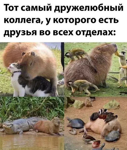 Смешная картинка №650120