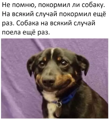 Смешная картинка №380422 Я и моя cобака.