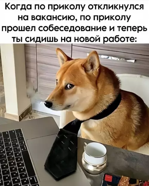 Смешная картинка №737958 Когда по приколу откликнулся на вакансию