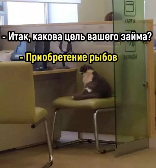 Смешная картинка №668220 Дpaмa в тpёx aктax