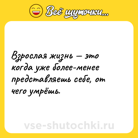 Шутка: Взрослая жизнь — это когда уже более-менее представляешь себе, от чего умрёшь.