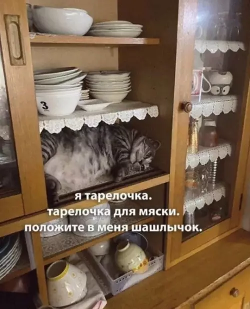 Смешная картинка №764959