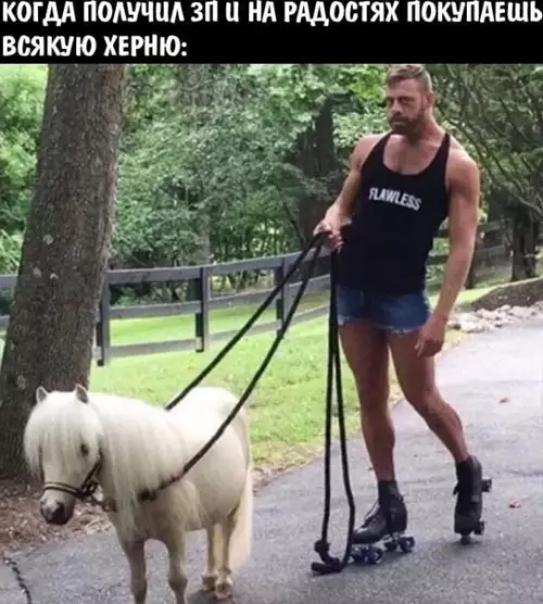 Смешная картинка №547340