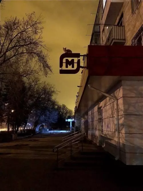 Смешная картинка №701993 Этому городу нужен новый герой.