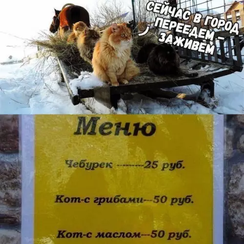 Смешная картинка №306473