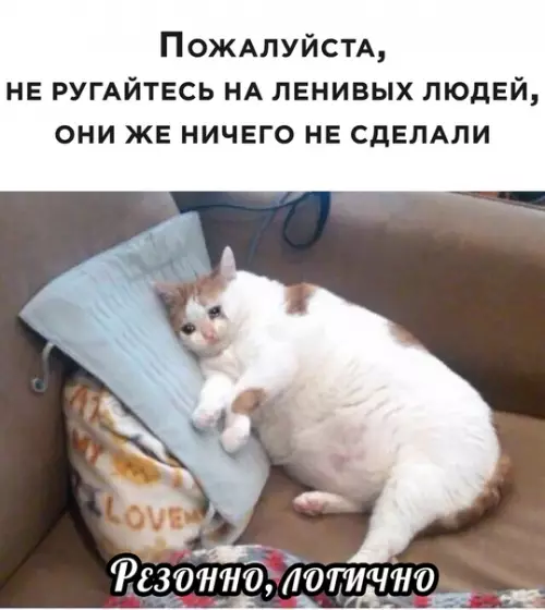 Смешная картинка №510555