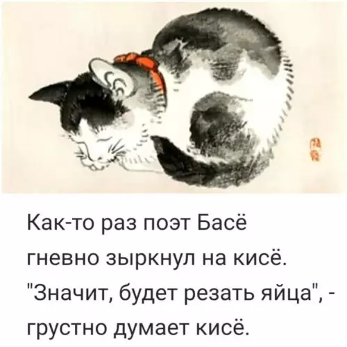 продолжение Смешная картинка №804830 Про Кисё и Басё