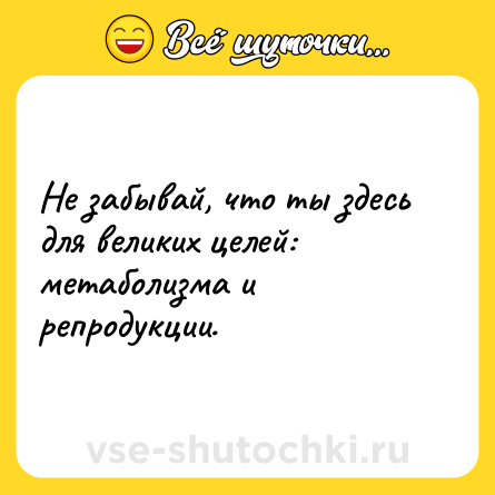 Шутка: Не забывай, что ты здесь для великих целей: метаболизма и репродукции.