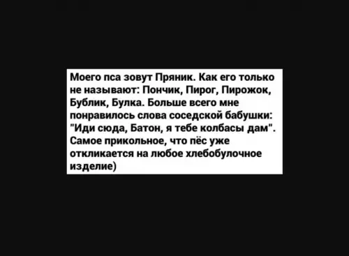 Смешная картинка №612227 Сладкий пирожок) Собаки