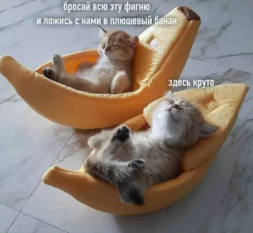 Смешная картинка №671014
