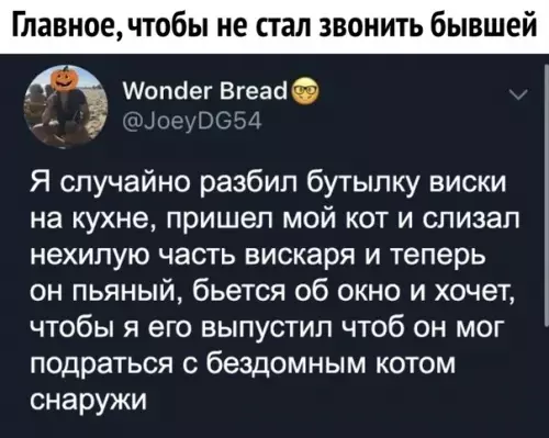 Смешная картинка №466297 Когда перепутал виски с валерьянкой)