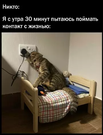 Смешная картинка №779838