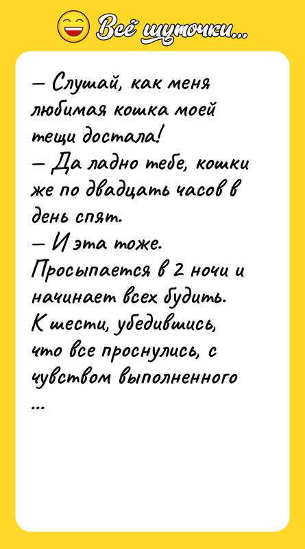 — Слушай, как меня любимая кошка моей тещи достала!<br/>— Да