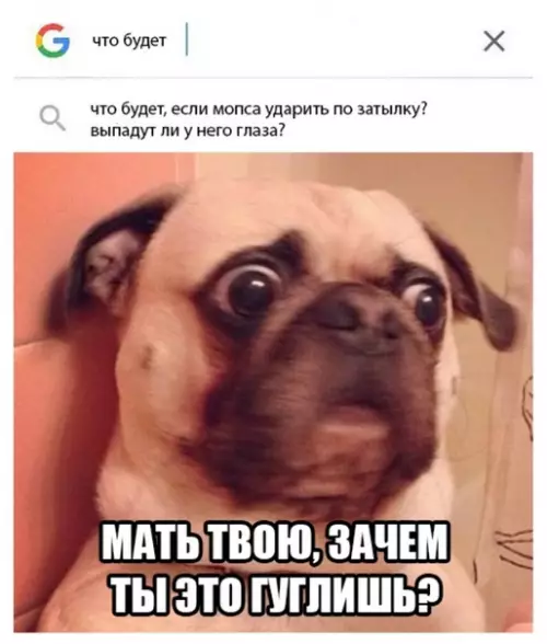 Смешная картинка №282139
