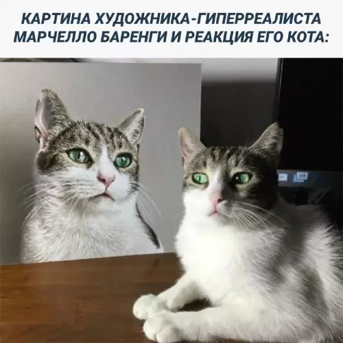 Смешная картинка №685156