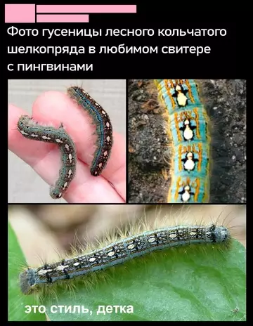 Смешная картинка №740021