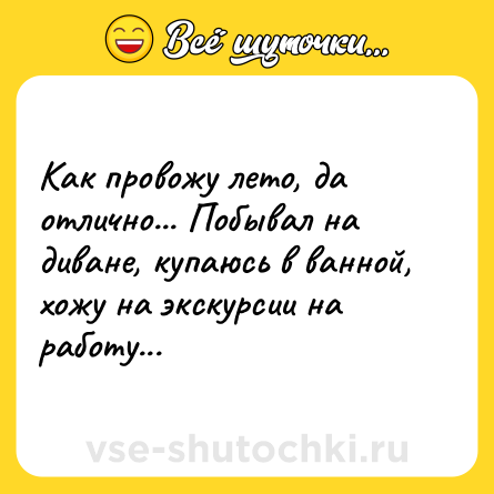 Шутка: Как провожу лето, да отлично... Побывал на диване, купаюсь в ванной, хожу на экскурсии на работу...