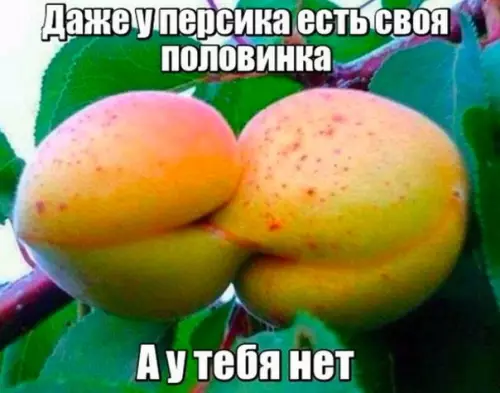 Смешная картинка №175898
