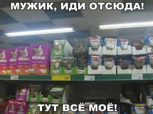 Смешная картинка №240455