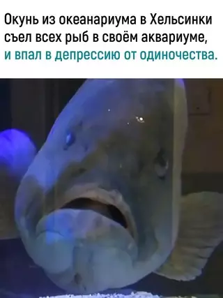 Смешная картинка №639775