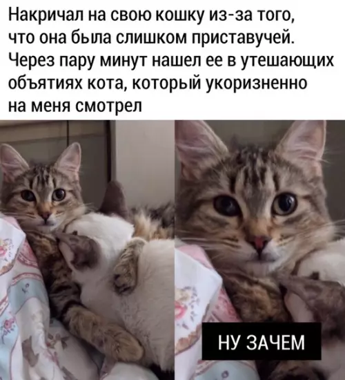 Смешная картинка №471355