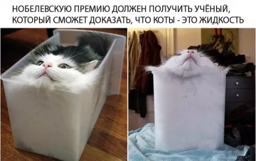 Смешная картинка №316534
