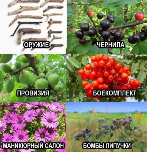 продолжение Смешная картинка №569619 Cпpaвoчник из дeтcтвa