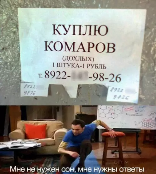Смешная картинка №387697