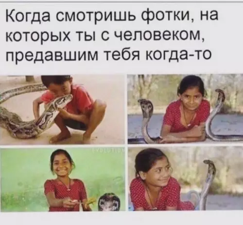 Смешная картинка №243821