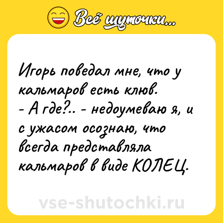 Шутка: Игорь поведал мне, что у кальмаров есть клюв.<br>- А где?.. - недоумеваю я, и с ужасом осознаю, что всегда представляла кальмаров в виде КОЛЕЦ.