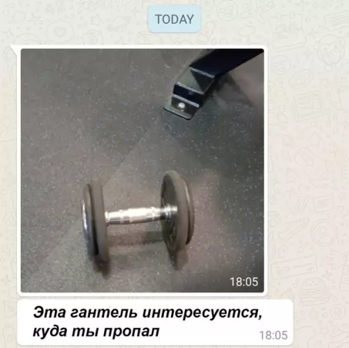 Смешная картинка №323490 Сегодня не пошёл в зал, тренер прислал мне это