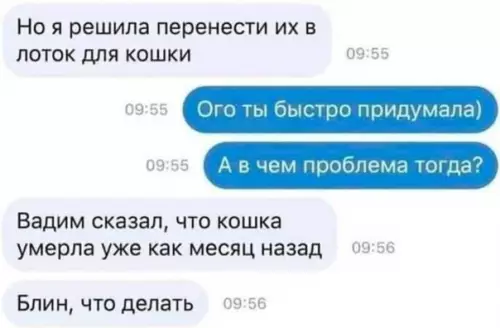 продолжение Смешная картинка №594149 Ситуация, попадающая впросак.. Переписка