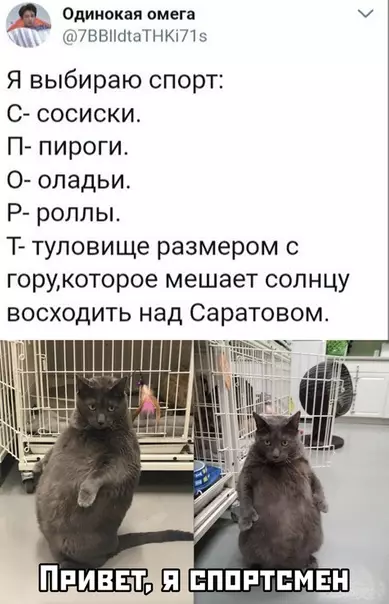 Смешная картинка №456358