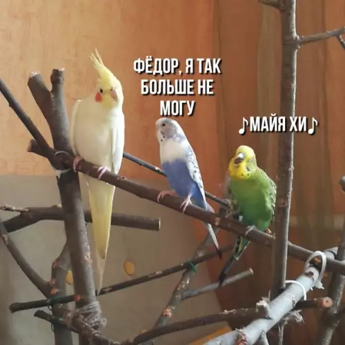 Смешная картинка №402159