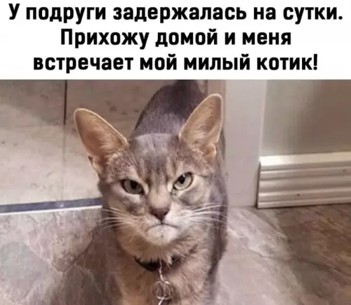 Смешная картинка №664956