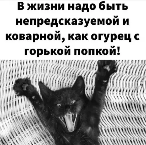Смешная картинка №674613