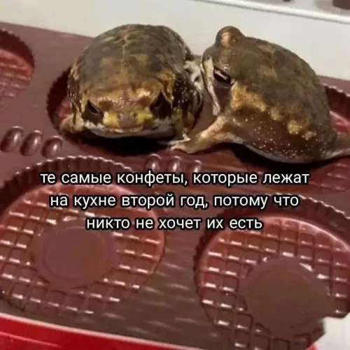 Смешная картинка №786404