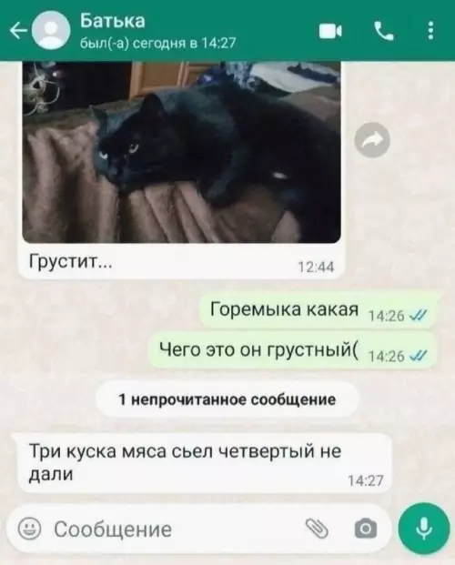 Смешная картинка №724036
