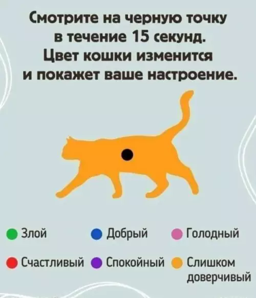 Смешная картинка №651628