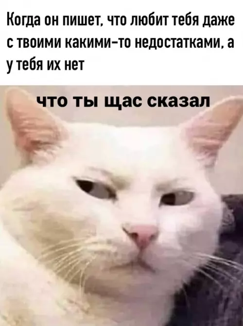 Смешная картинка №616051